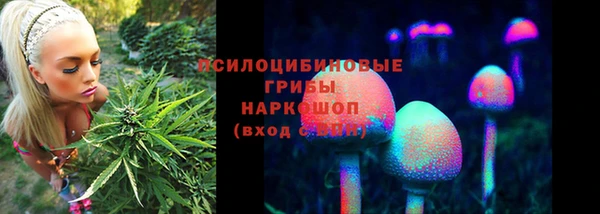 jwh Аркадак