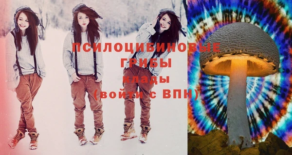 PSILOCYBIN Арсеньев