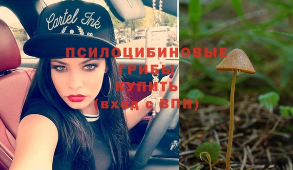 mix Армянск