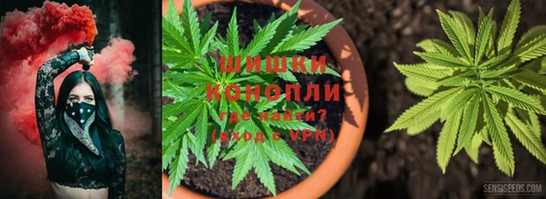 jwh Аркадак