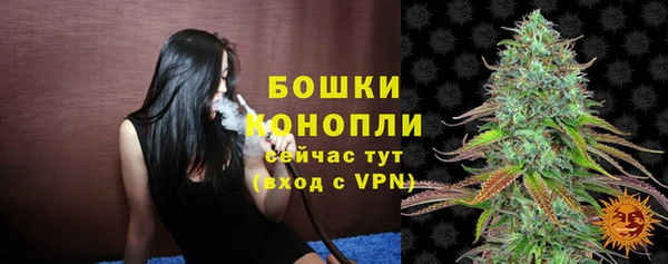 PSILOCYBIN Арсеньев