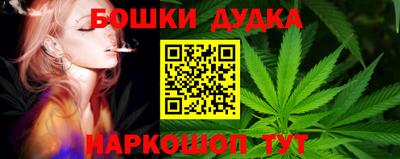 сатива Братск