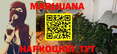 сатива Братск