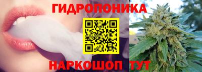сатива Братск