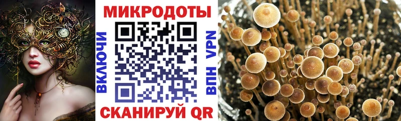 Галлюциногенные грибы ЛСД  маркетплейс формула  Белебей 