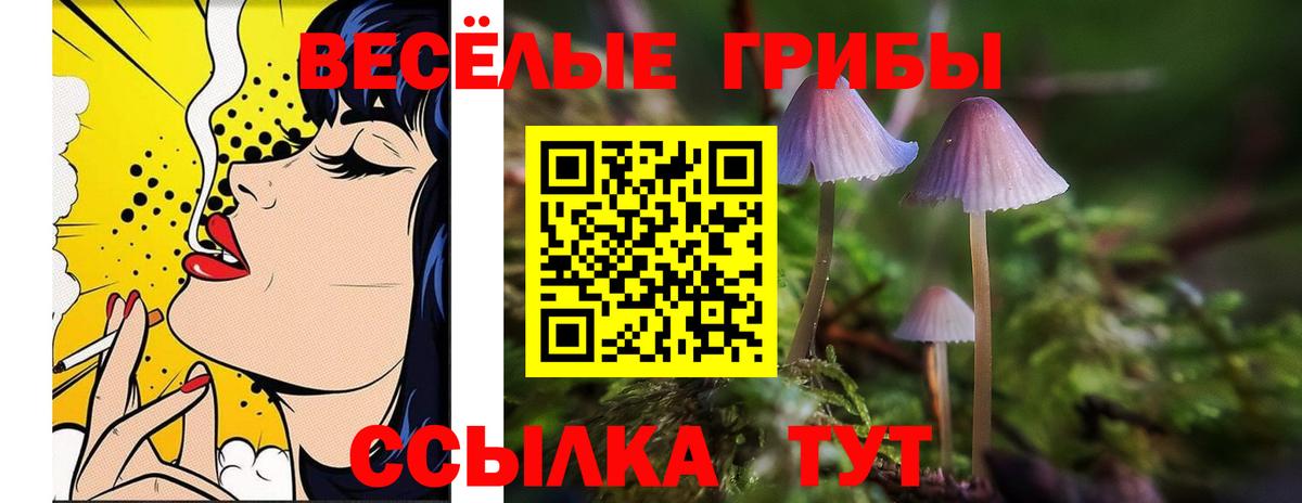 Белебей  Галлюциногенные грибы GOLDEN TEACHER  Вход с VPN 